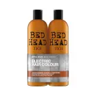 17012-w - 2025-02-13t152429.623